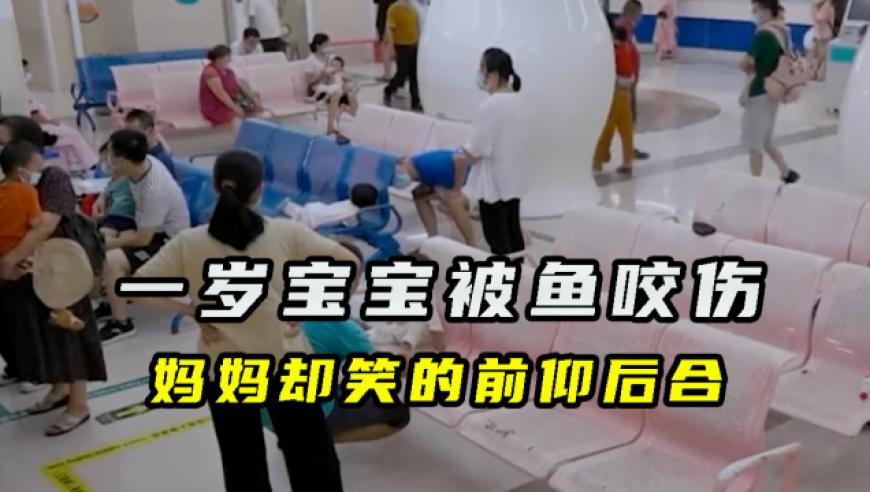 澳门彩天天精准资料大全,中越之间第60个航班开通,决策资料解释落实_轻量版V10.17