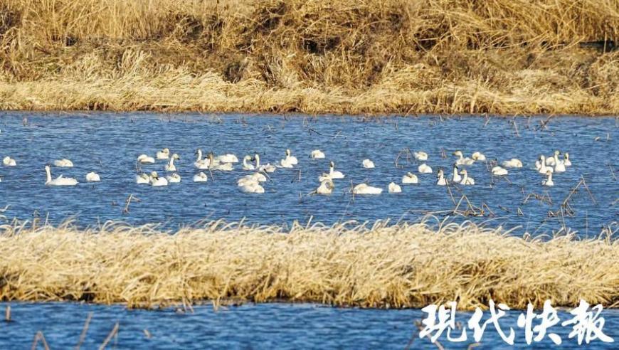 新奥彩2025年免费资料查询,校方为在美遇害学生办追悼会,权威独家讨论与热门话题_基础版V2.38