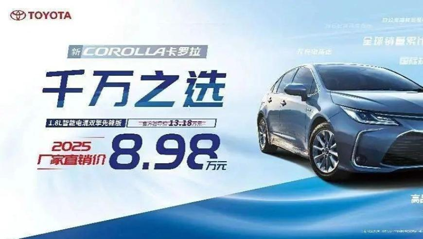 为了遇见你种了一片玫瑰花海,776611论坛资料,公开决策资料解释落实_经典版V3.57