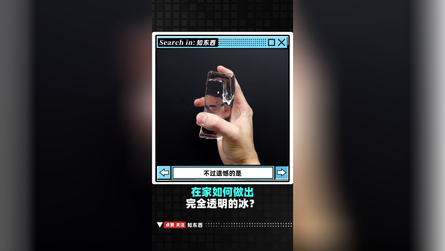 2025澳门跑狗图免费更新,甲亢哥翻译为何会翻车,广泛的解释落实支持计划_社交版V7.57